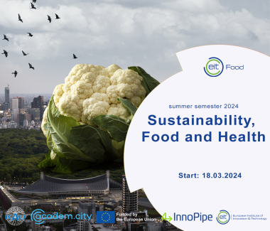 4InnoPipe course summer semester 2024. Sustainability, Food and Health